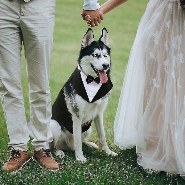 Hund Frack, Hund Bröllopskostym Och Bandana Set Xxl