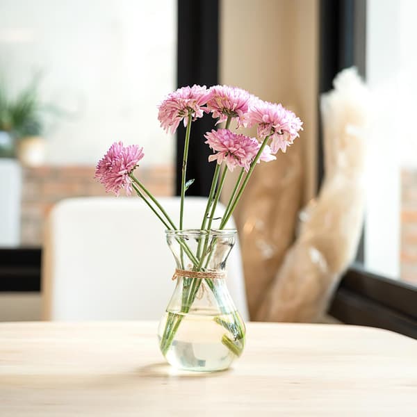 4 stk. hydroponiske blomstervaser i glas til grønne planter, små bordpotter