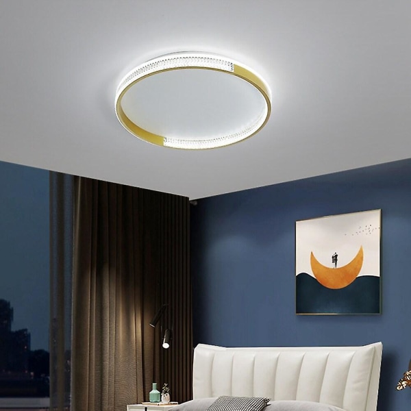 55cm Circle Design Ceiling Light Led Nordic Metal Modern