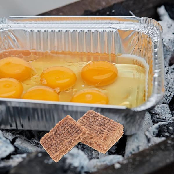 10 st kolstartkuber Utomhus BBQ Eldstartare för grillar Eldstäder Lätta eldstartblock