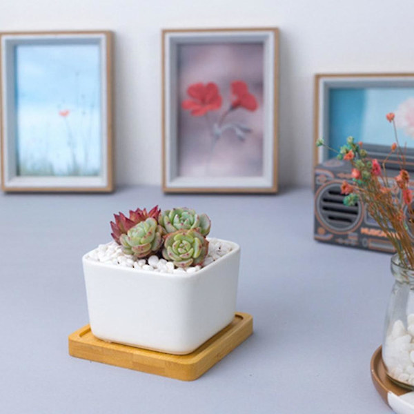 Enkel hvit kreativ kvadratisk keramisk blomstersett for skrivebord med bambusbrett Sukkulente plantepottesett (1 stk)
