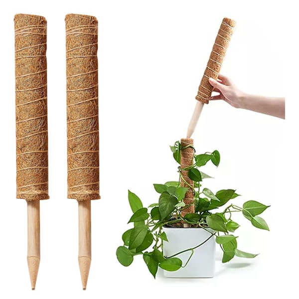 Yegbong Klatrekolonne Plante Støtte