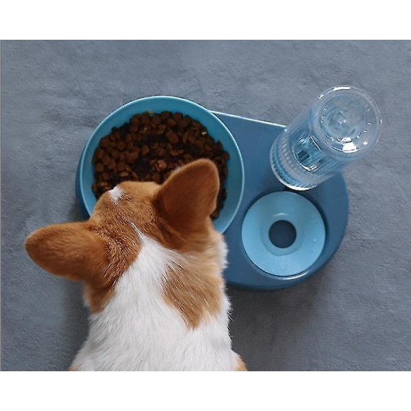Automaattinen juominen Ruokintakulho Kissat Koirat Kallistuva vesiruoka