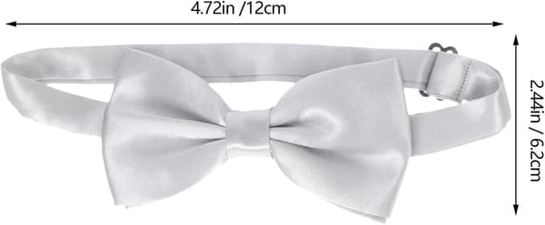 Herre butterfly, lommetørklæder, mavebælte, silke, klassisk, elegant, sølv, one size