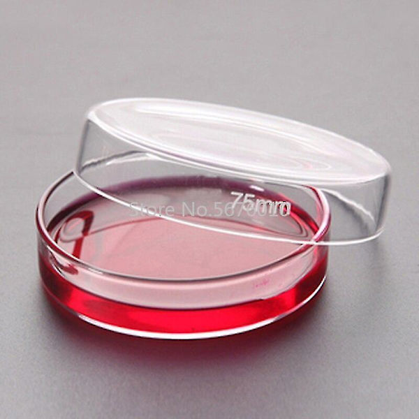 10-pack 75mm Borosilikatglas Petriskålar Cell Sterila Kemiska