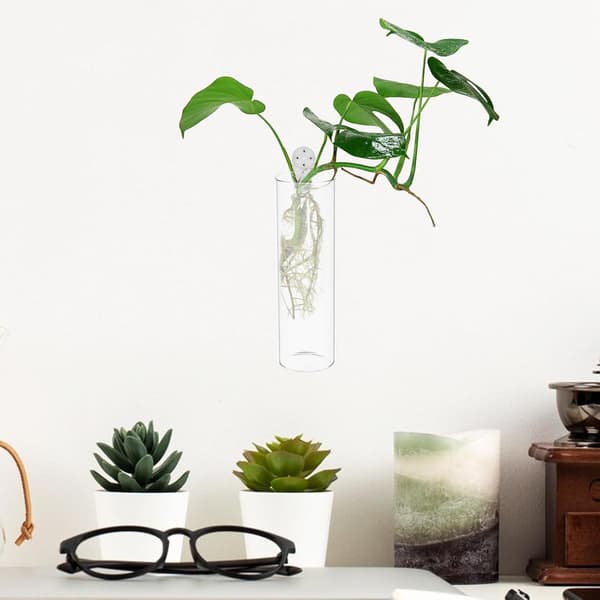 2 st väggvaser Väggblomhållare Glasbehållare Blomkruka Glas Robust Väggmonterad Vas