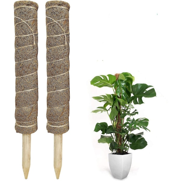 2 stk mosestang 40 cm plantestøttestaker for innendørs klatreplanter Grow Extendable Natural Planting Stick