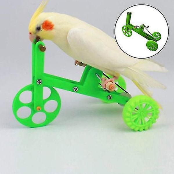 Cykelpapegøje Car Macaw Grøn Holdbar Happy (1 stk)