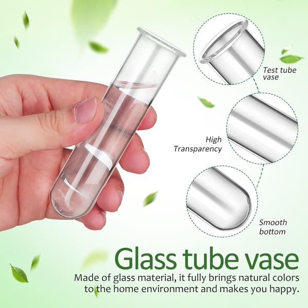 5 st växtförökningsstationrör Glas Blomvattenrör Modern stil Elegant