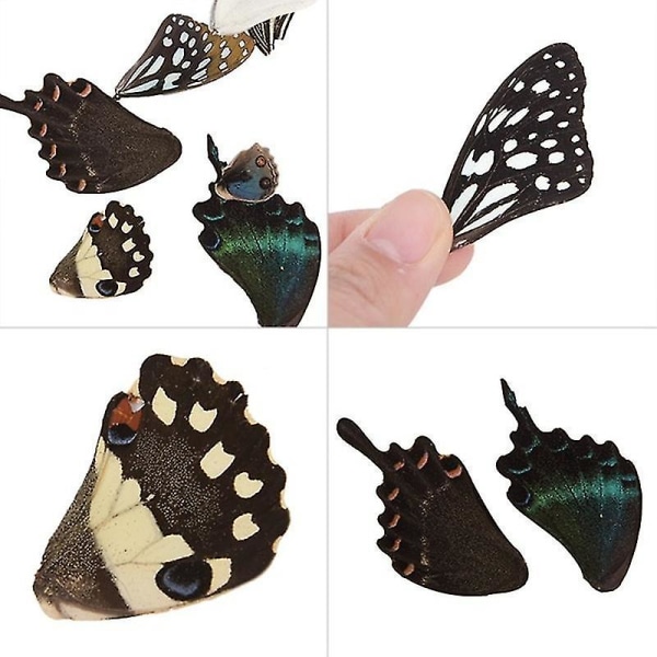 100 st Real Natural Butterfly Wings DIY Smycken Artwork Craft