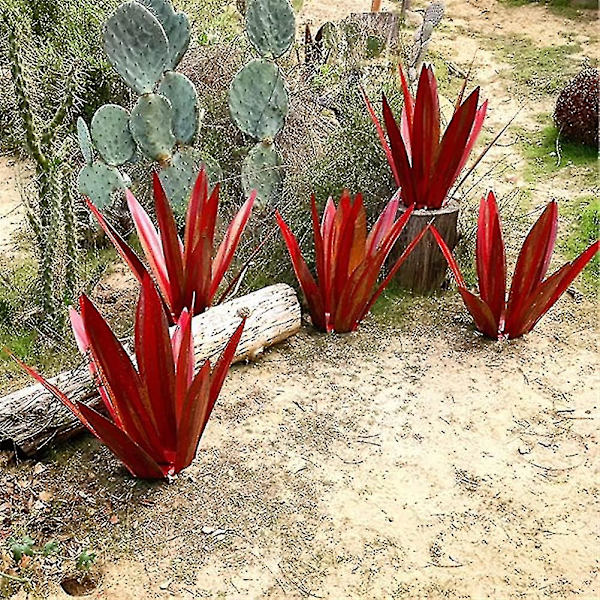 Puutarhafiguurit Ulkokäyttöön, Agave-Koriste Puutarhakoristeeksi Puutarhoihin
