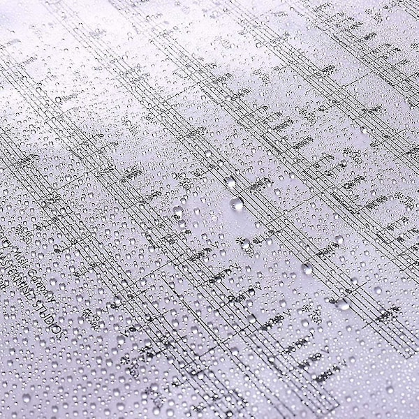 Mapp för A4-musikpapper med 30 fickor, för musiker, indexmappar i plast, dubbelsidig