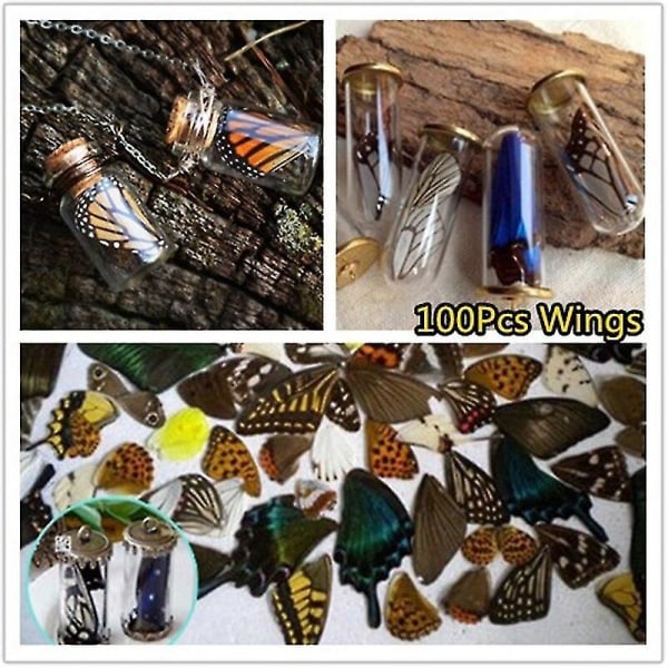 100 stk ekte naturlige sommerfuglvinger DIY smykker kunsthåndverk