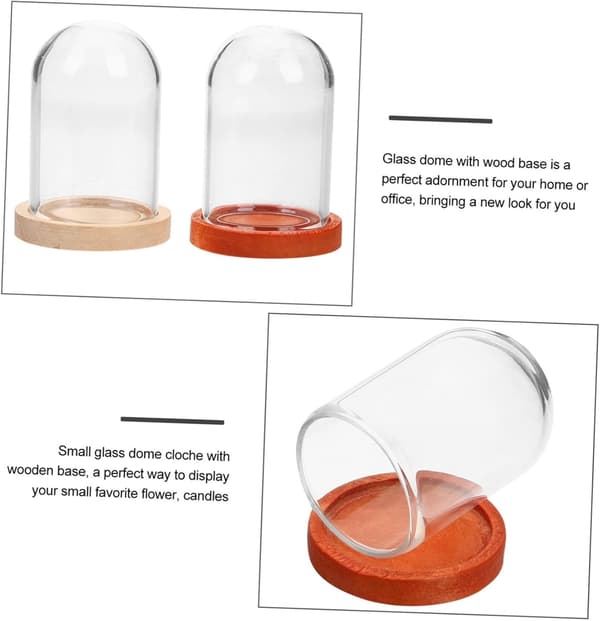 10 st glasdisplaykupol med träbas Mini konserverad blomsterglaskupa 38X25MM klockburk displayfodral