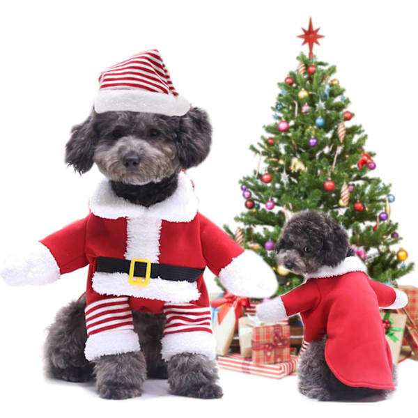 Jul, Katt Jul Med Tomteluva, Juldjursdräkt Julhuvajacka. S