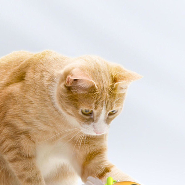 Interaktivt Katt Leketoy Elektrisk Tease Stick LED Lys