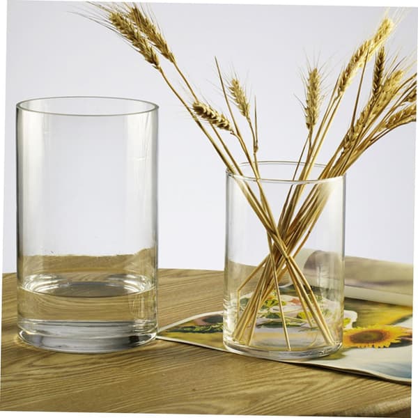 Cylindrisk Glasvase Blomst Hydroponisk Holder Dekorativ Blomsterkunstbeholder