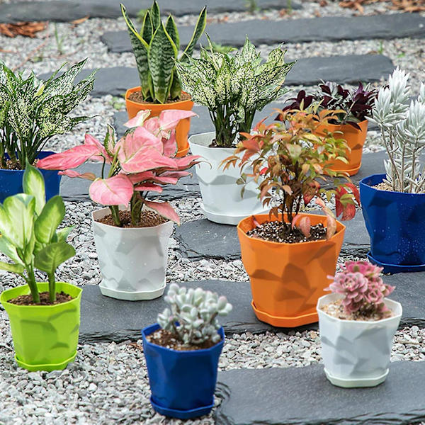 5 stk Små Blomsterpotter Plastik Drænhuller Underkopper Planter