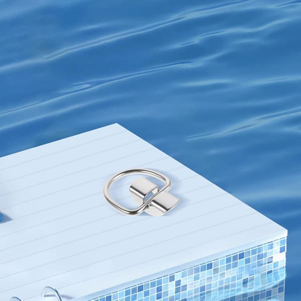 D-formet dykkerbælte spænde i rustfrit stål med vægtfastholdelsesclips