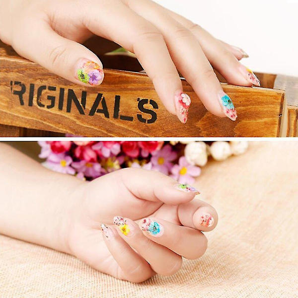 12 Färgade Mixade Torkade Blommor Nagelsalongskonst DIY Dekaler