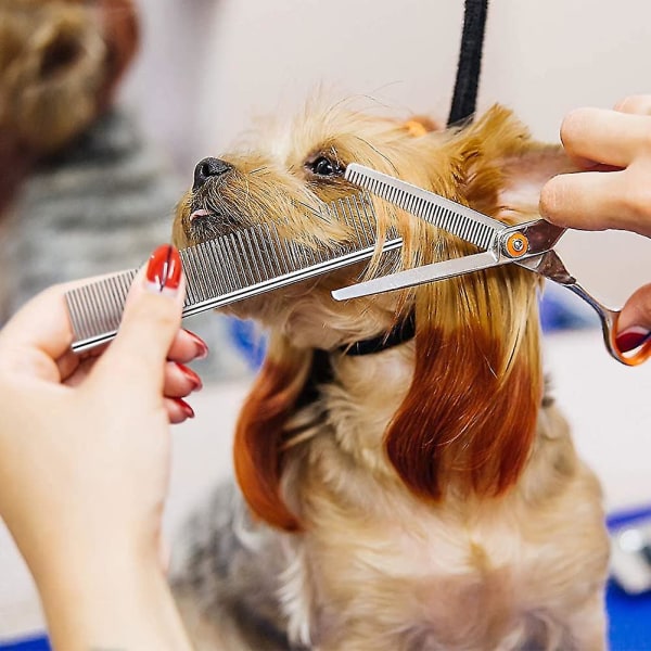 Rustfrit Stål Pet Kam Dyrepleje Kam Afrundede Tænder Hundekam Stor