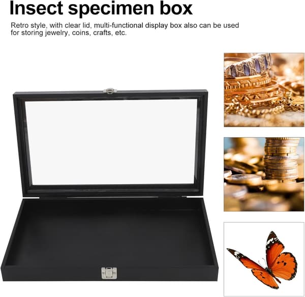 Träinsektslåda med låsbart lock, smyckesförvaringslåda