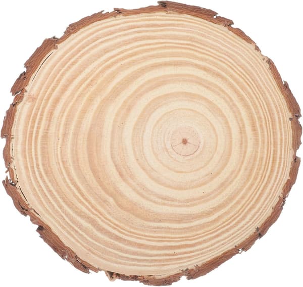 Obehandlad rund träutskärning 20-25 cm diameter 2 cm tjocka trärundlar