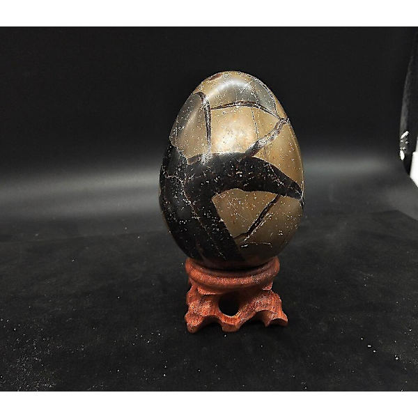 Naturlig Dragon Septarian Geode Ägg Mineralprov