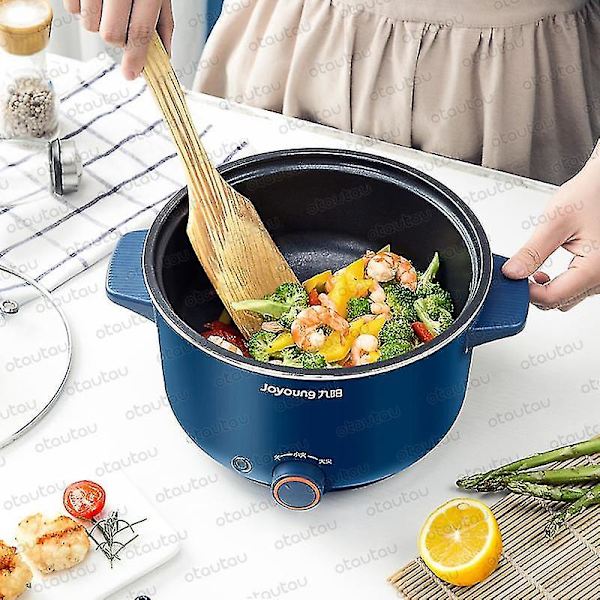Elektrisk kokeplate, multifunksjonell, liten gryte for hybel