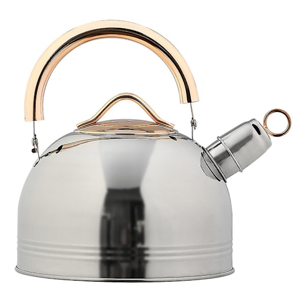 Rustfrit Stål Fløjtende Kedel Tekande 3l Ergonomisk