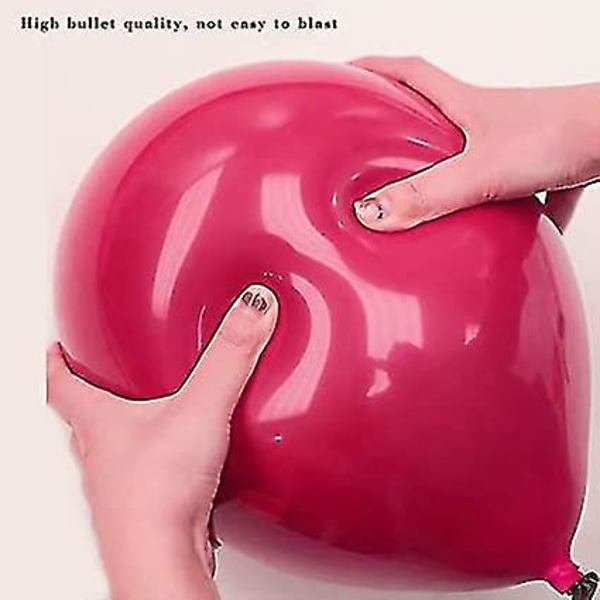 Ballonbue- og guirlandekit 16ft strimmelbånd, bindingsværktøj og 100 lim