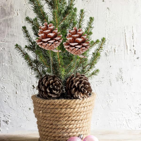 20 stk. julepynt grankogle-picks til julekranse og guirlander, grankogletræ-picks