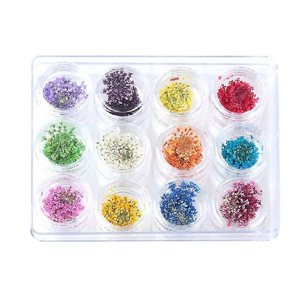12 Färgade Mixade Torkade Blommor Nagelsalongskonst DIY Dekaler