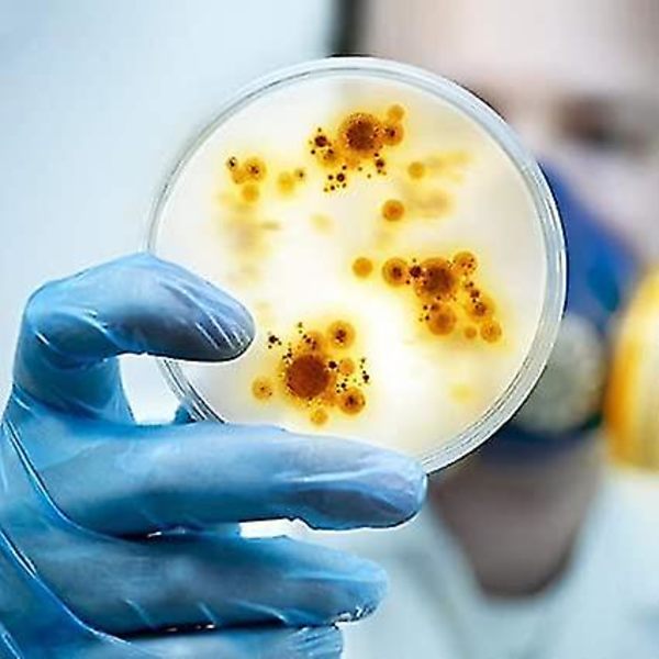20 stk Plast Petriskåler med Lopp 90ml Overførings Pipetter 5ml