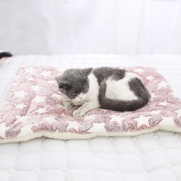 Pet Cat Bed Hund Förtjockad Mjuk Fleece Pad Filt Mat Kudde