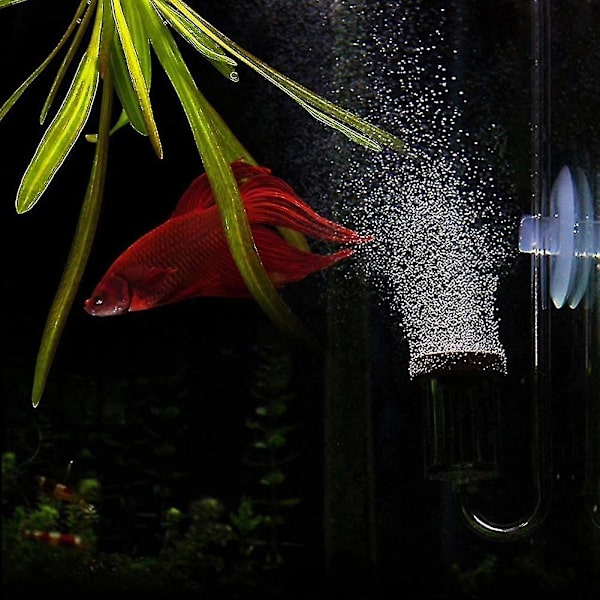Akvarium Karbondioksid Transparent Bobleteller Forfiner Fiskedam Vannplanter (s)