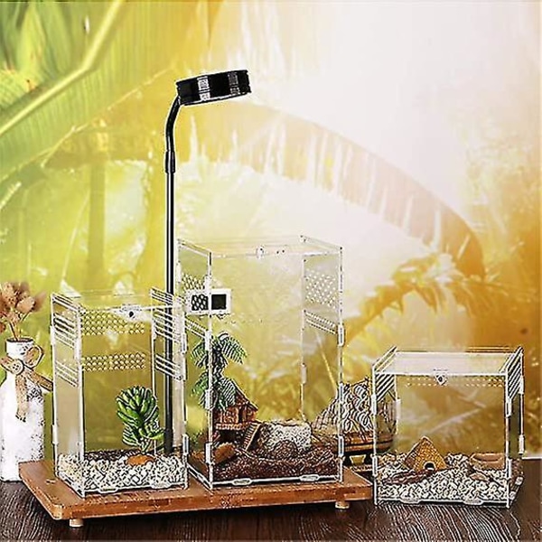 Clear Reptil Breeding Box Insect Feed Snake Spider Akryl