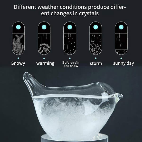 Glasväderprognos Vätskebarometer Prediktor Skrivbordsväderglas 30ml