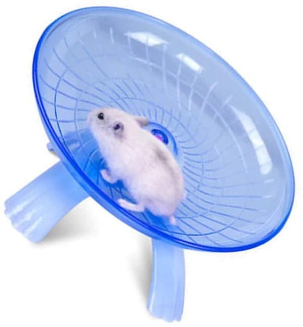 Premium Hamsterhjulskive Legetøj til Små Dyr