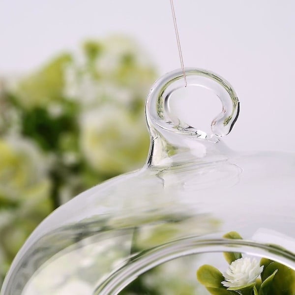 Gyroskop Glas Växt Blomvas Flaska Hängdekor
