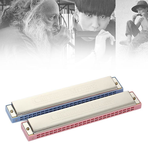 24-reikäinen C-sävellajin harmonikka Musiikki-instrumentti Viihde Musiikin oppijalle