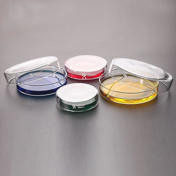 10pk 100mm Glas Petriskål Bakteriekultur Lab Glas