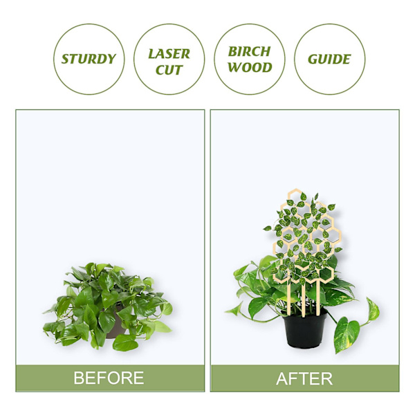 Liten espalier for potteplanter, tre espalier for innendørs planter