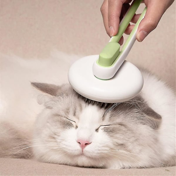 Kattebørste, et-klik rengørings- og plejebørste, grøn a086 | Fyndiq