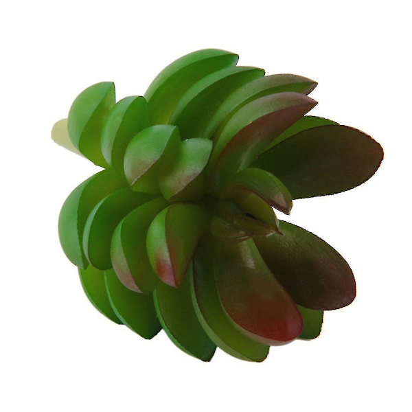 Mini Plast Sukkulenter Planter Dekoration