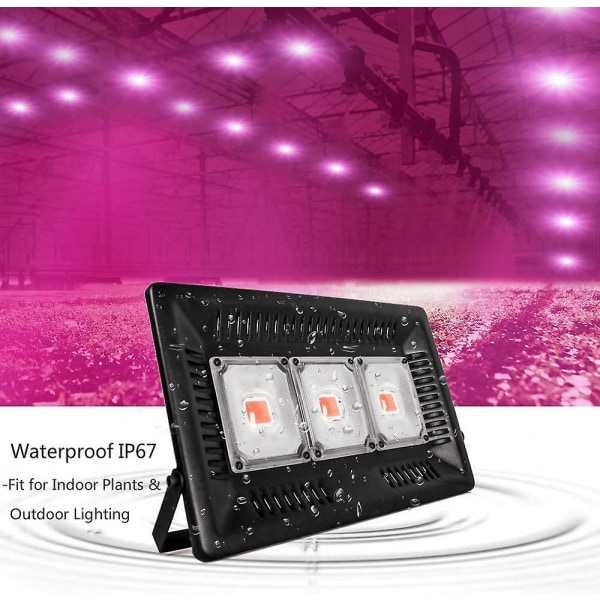 150w Vekstlys, IP67 Vanntett Hortikulturelt LED-lys
