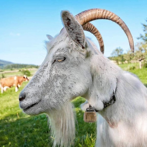 2 stk Ku, Hest, Sau Beite Kobberklokker Høy Lyd Niuniu