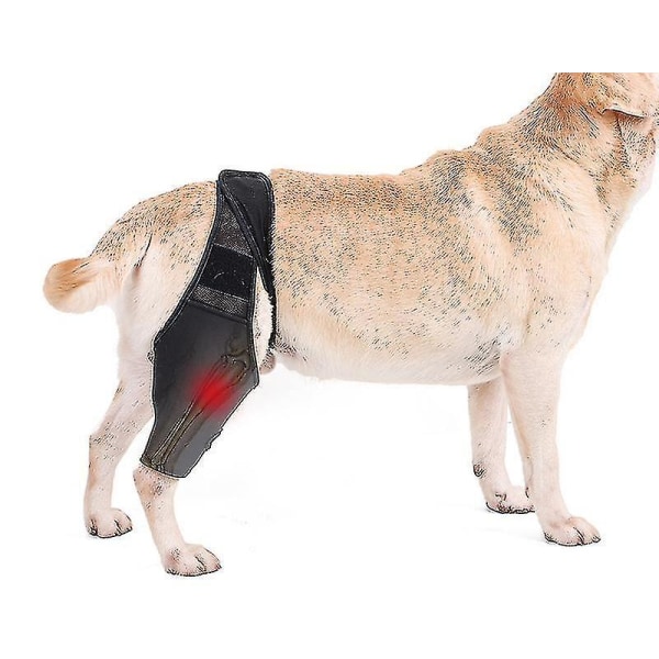 Kneskinne for hunder ACL Dislokasjon Artritt Leddvarme