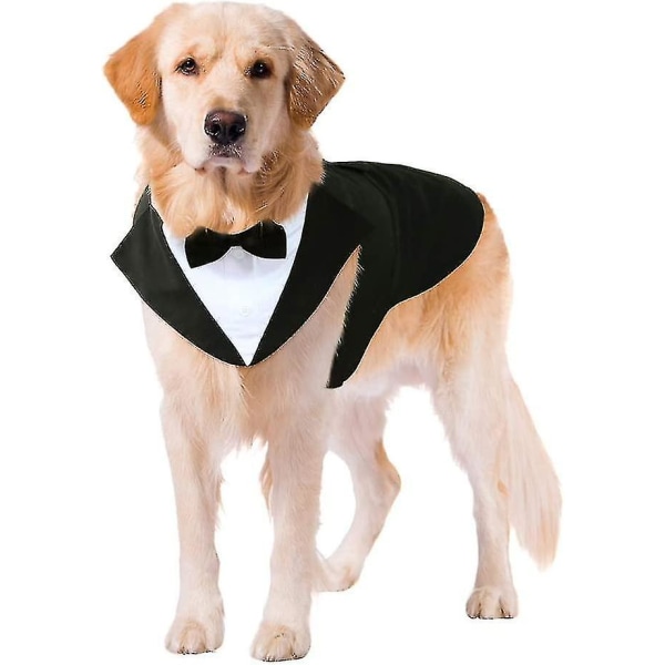 Hund Frack, Hund Bröllopskostym Och Bandana Set Xxl