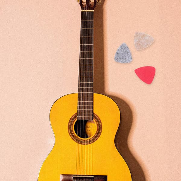 20 st filtfyllda akustiska gitarrplektrum för elektrisk akustisk gitarr och stränginstrument